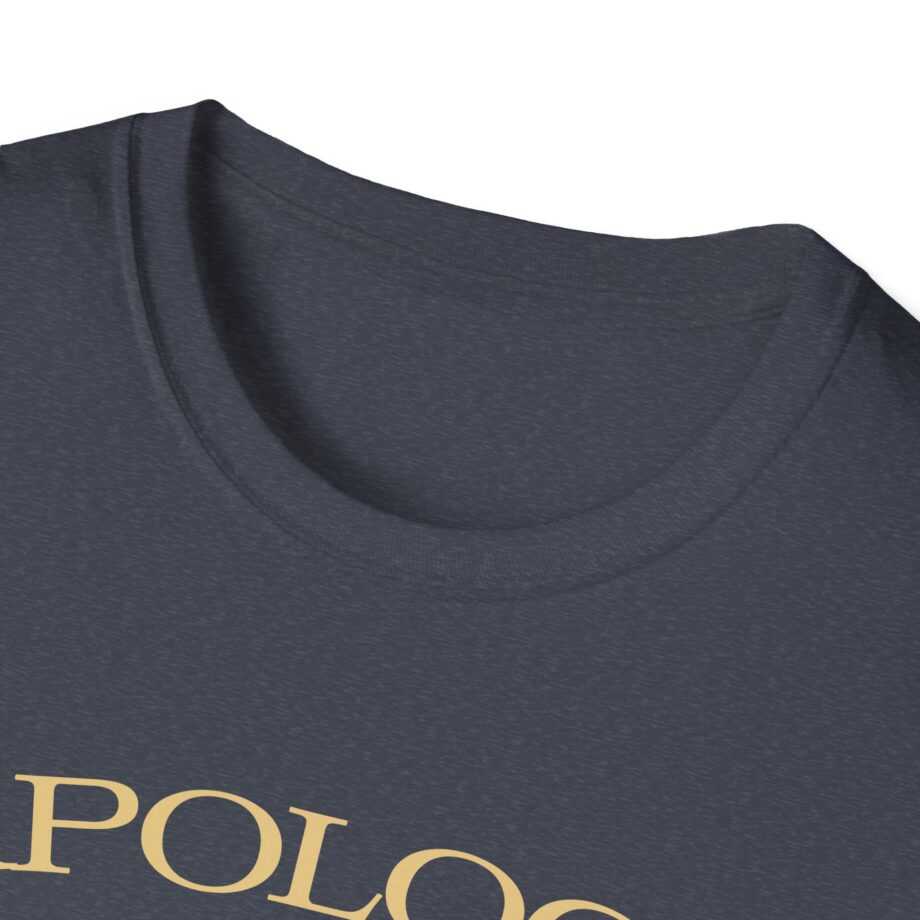 Wave to Earth Slchld 'apology' Na Tour Unisex Softstyle T-Shirt