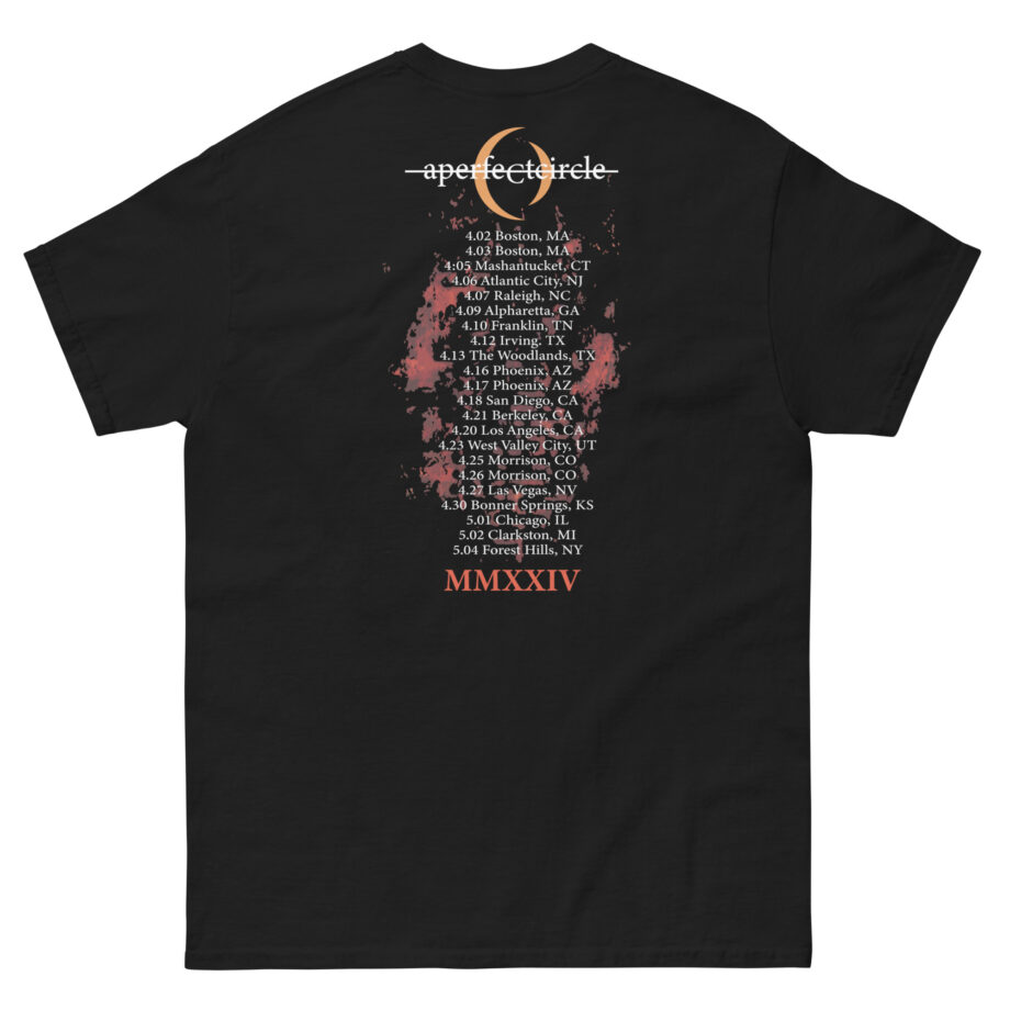 A Perfect Circle Logo Itin Unisex classic tee