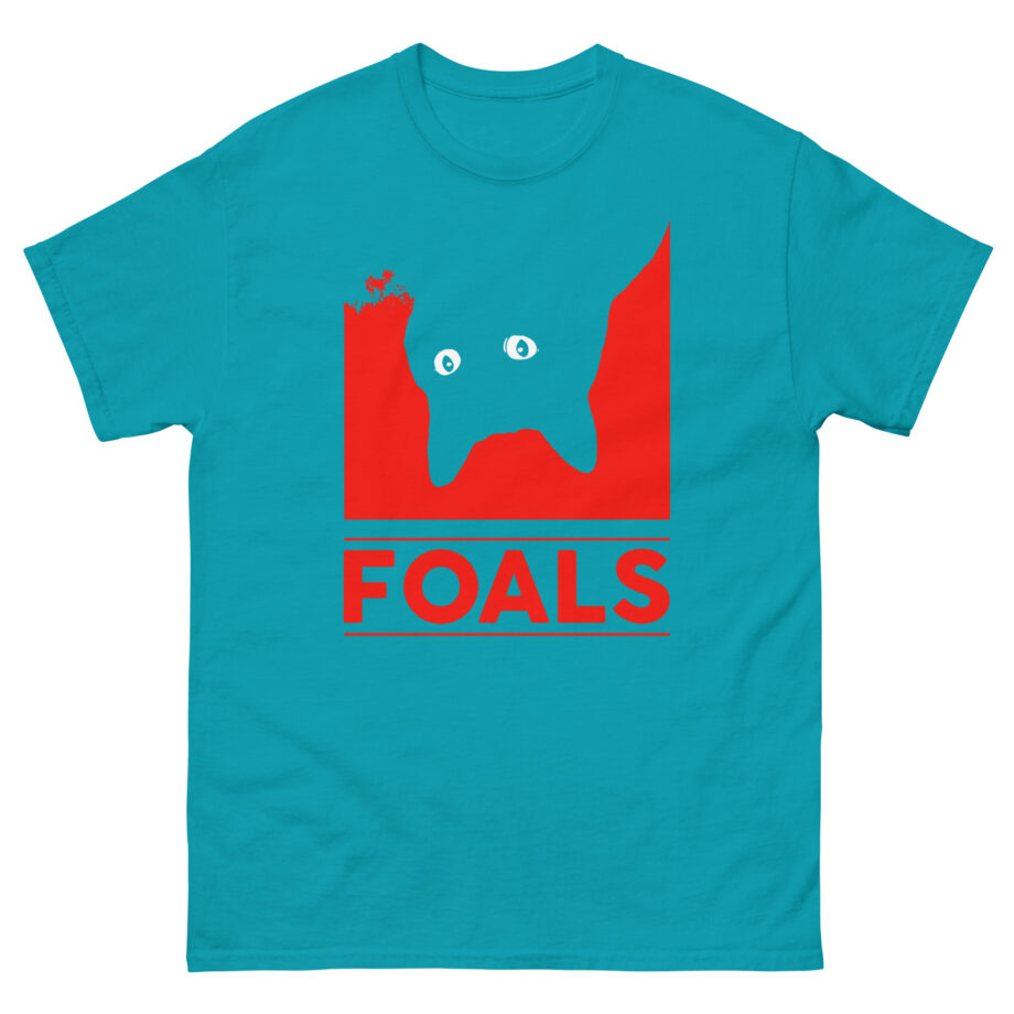 Foals Pidge Unisex classic tee