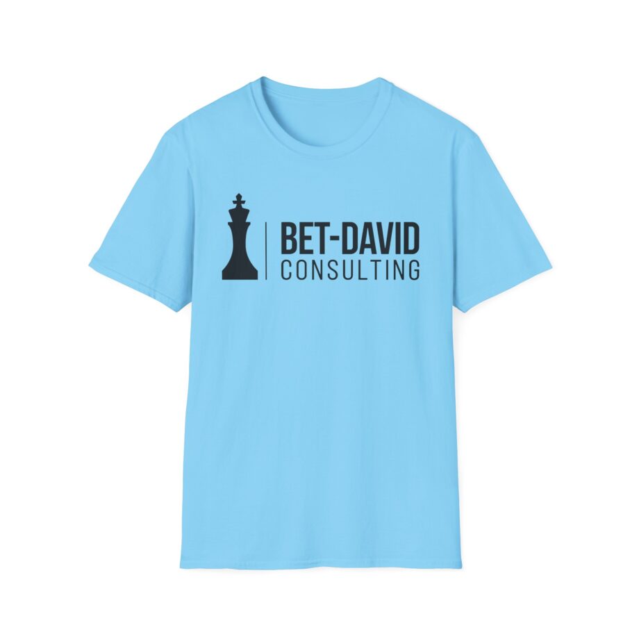 Valuetainment Bet-david Consulting Unisex Softstyle T-shirt
