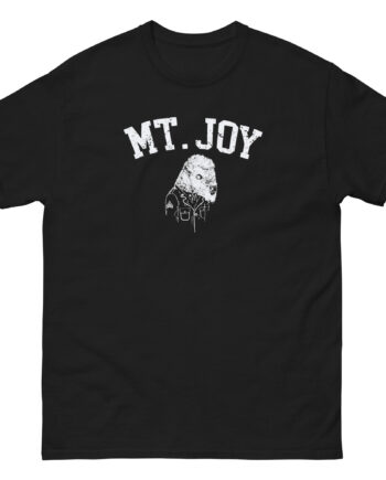 Mt. Joy Buffalo Unisex classic tee