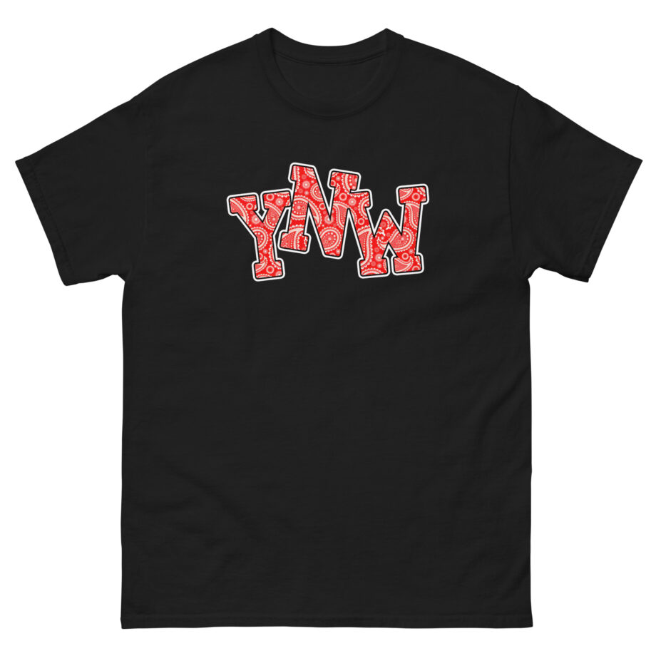 YNW Melly Paisley Unisex classic tee