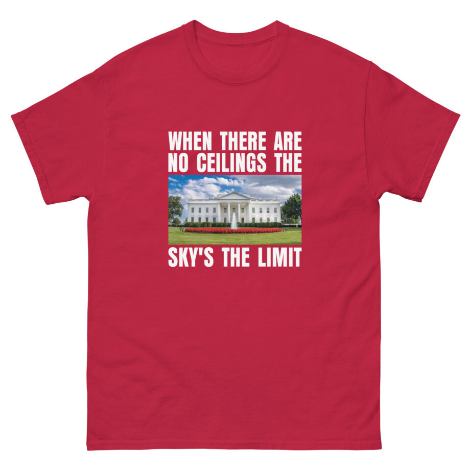 But Her Emails the Sky's the Limit Unisex classic tee