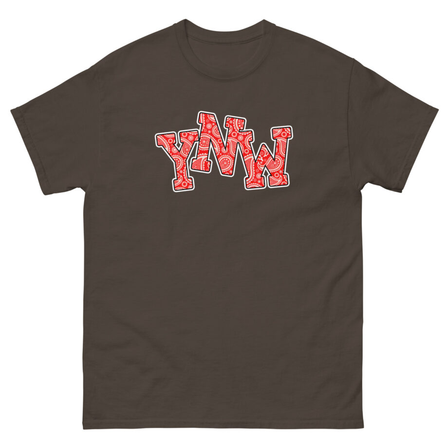 YNW Melly Paisley Unisex classic tee