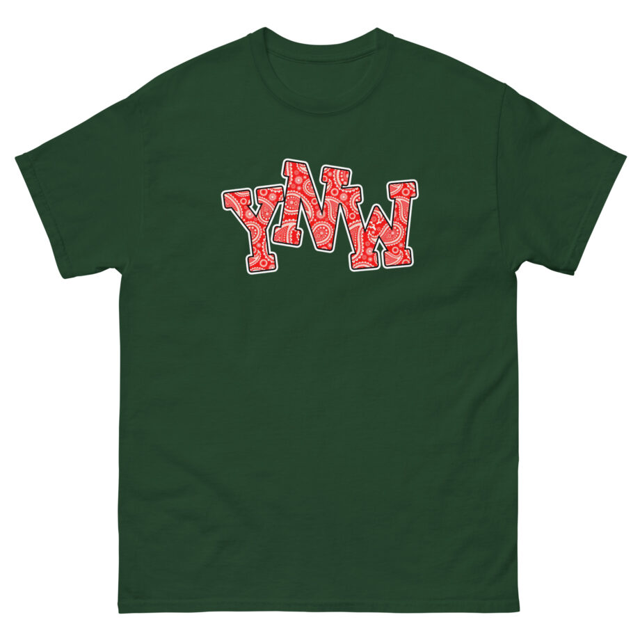 YNW Melly Paisley Unisex classic tee