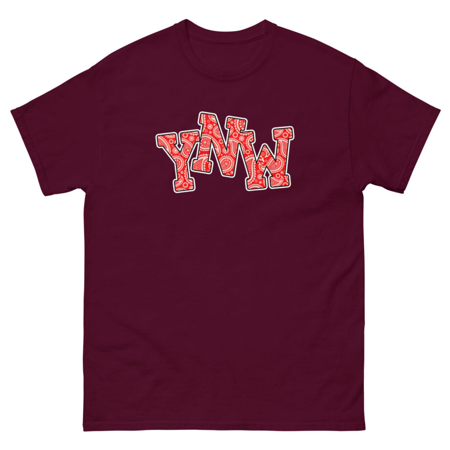 YNW Melly Paisley Unisex classic tee