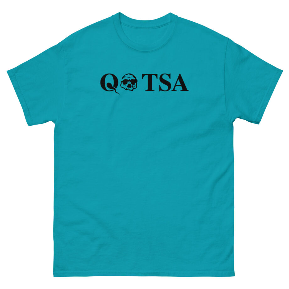 Queens of the Stone Age Alive in the Catacombs Unisex classic tee