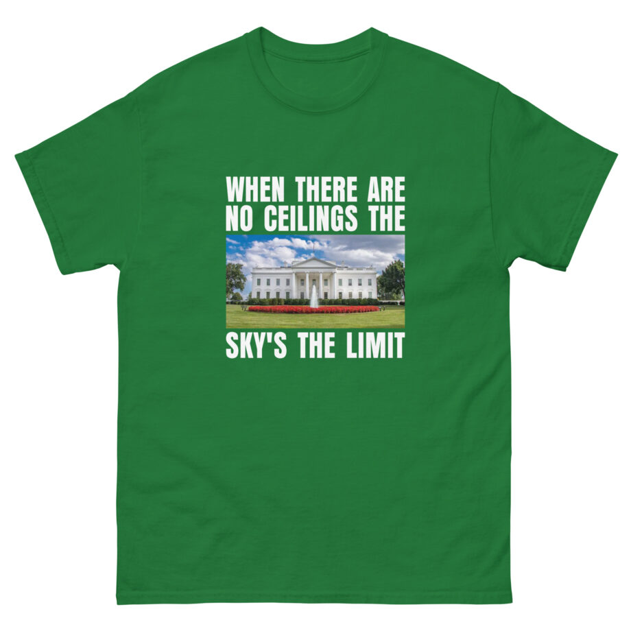 But Her Emails the Sky's the Limit Unisex classic tee