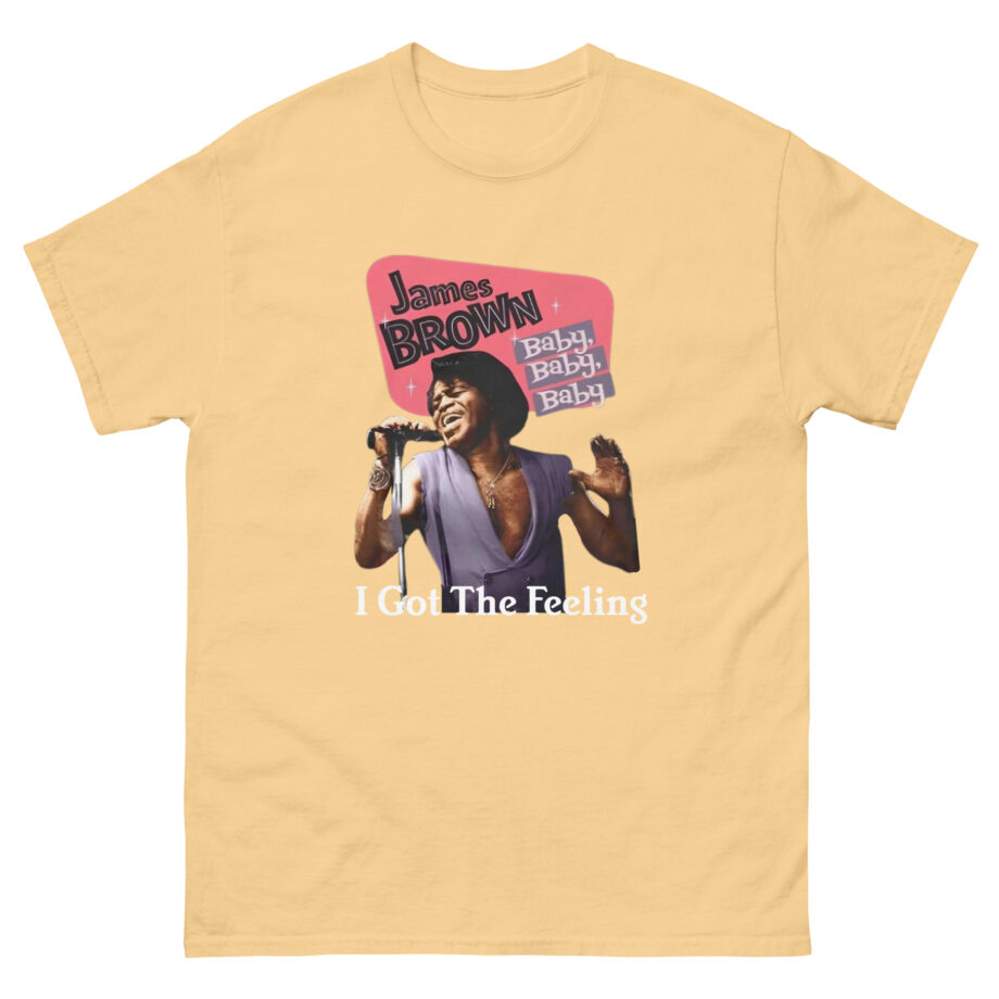 James Brown I Got the Feeling Unisex classic tee