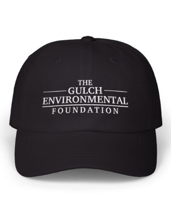 Gulch Classic Dad Cap