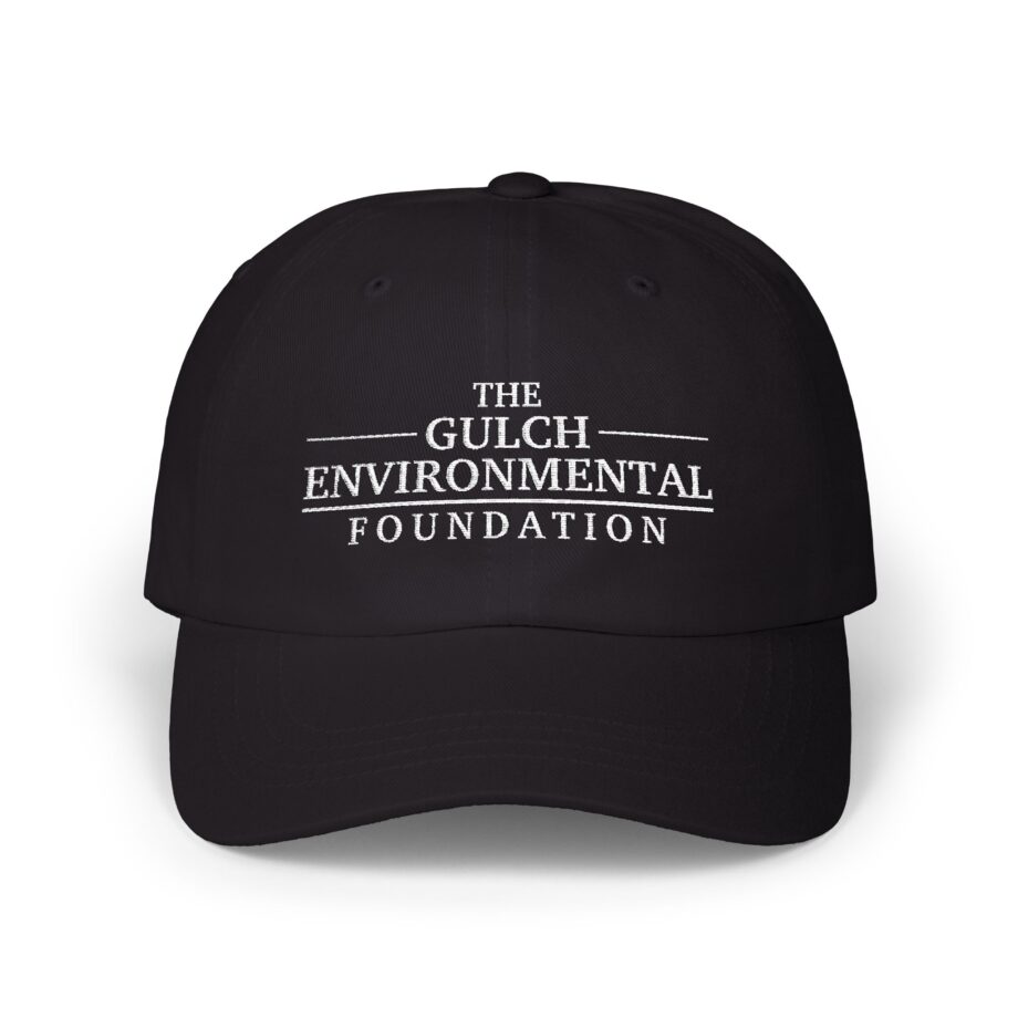 Gulch Classic Dad Cap