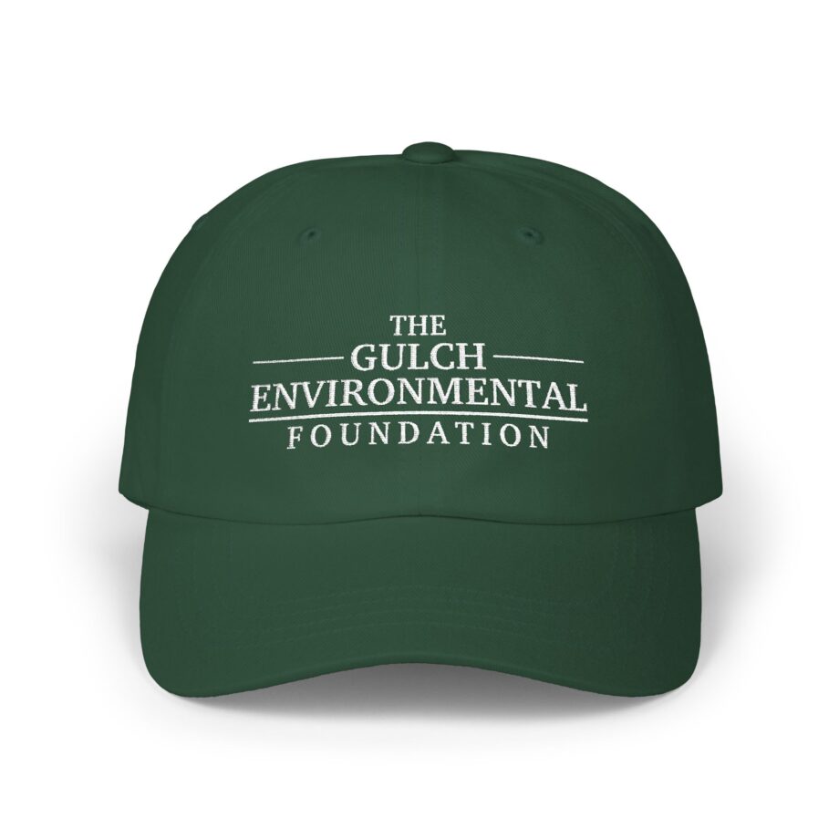Gulch Classic Dad Cap
