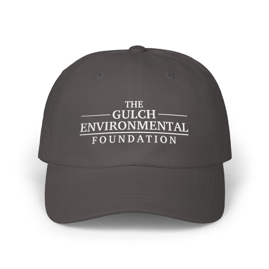 Gulch Classic Dad Cap